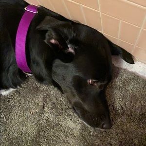 Meet your Posher, Jeff